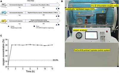 Oxygen enrichment protects against intestinal damage and gut microbiota disturbance in rats exposed to acute high-altitude hypoxia